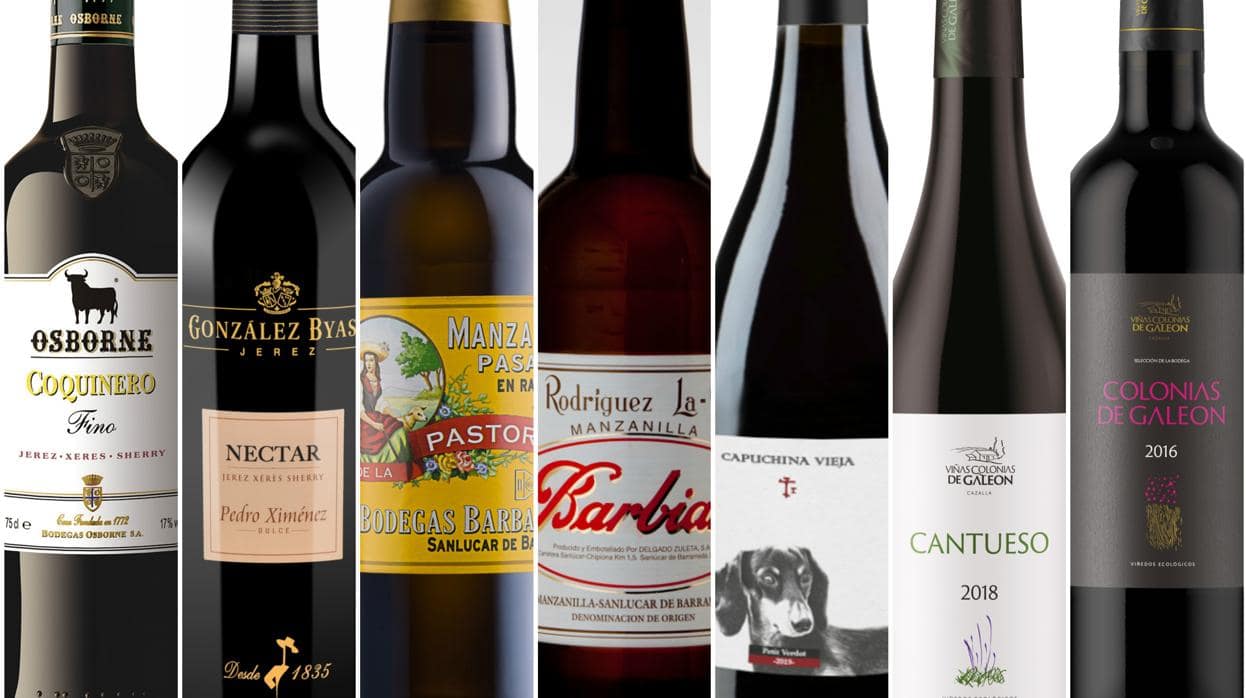The Best Wines Of Andalusia, Spain PlacesinAndalusia